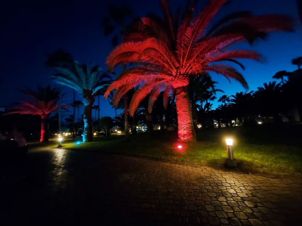 Gartenanlage Hotel Riu Gran Canaria