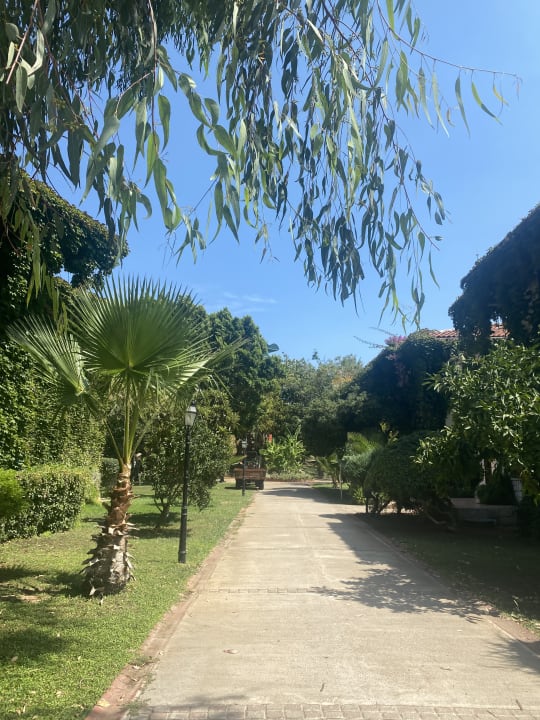 Gartenanlage Belconti Resort Hotel