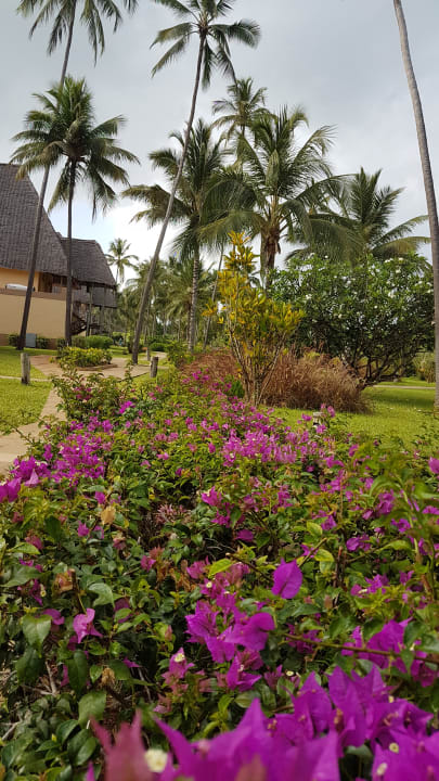 Gartenanlage Neptune Pwani Beach Resort & Spa