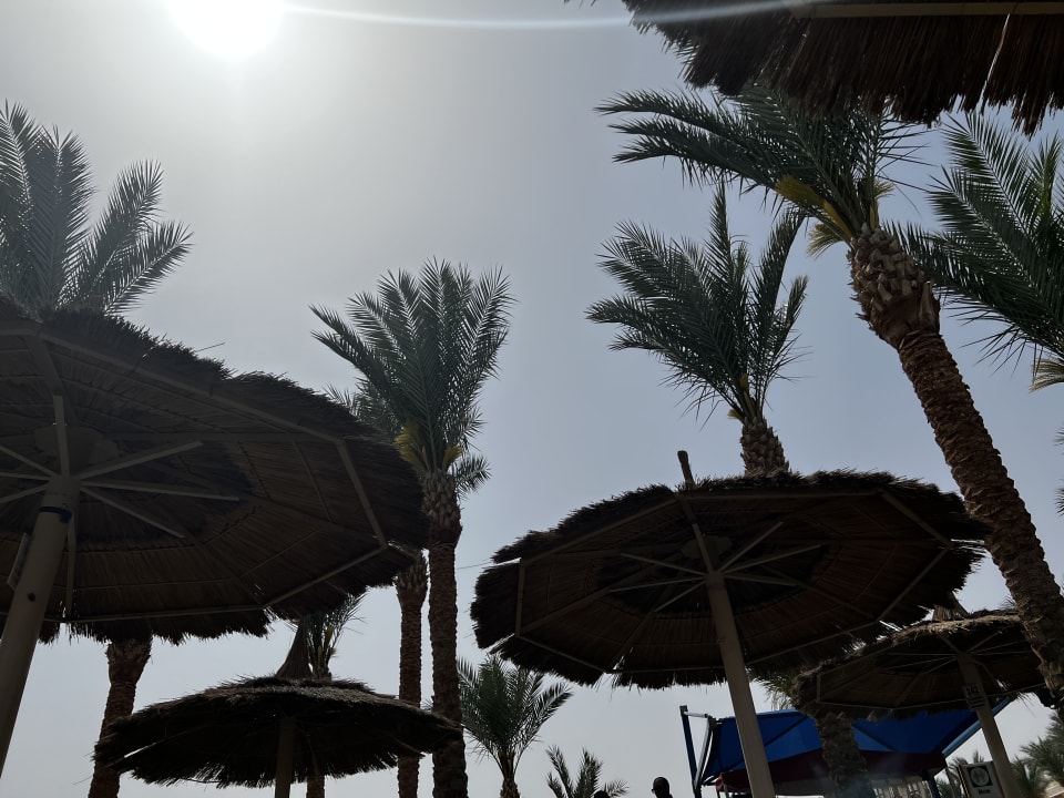 Strand Pickalbatros Palace Resort