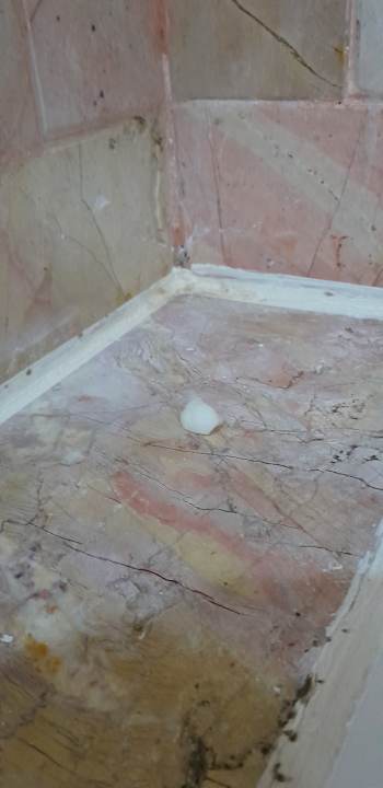 Zimmer Lella Baya & Thalasso