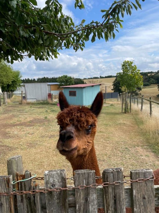 Sport & Freizeit Ferienhof Hubertushof Eifel
