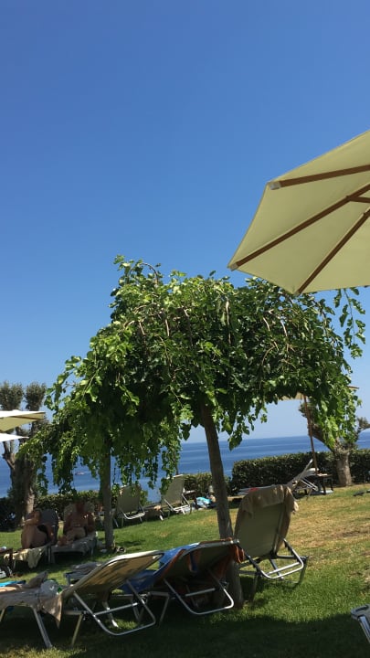 Gartenanlage Hotel Kalithea Horizon Royal