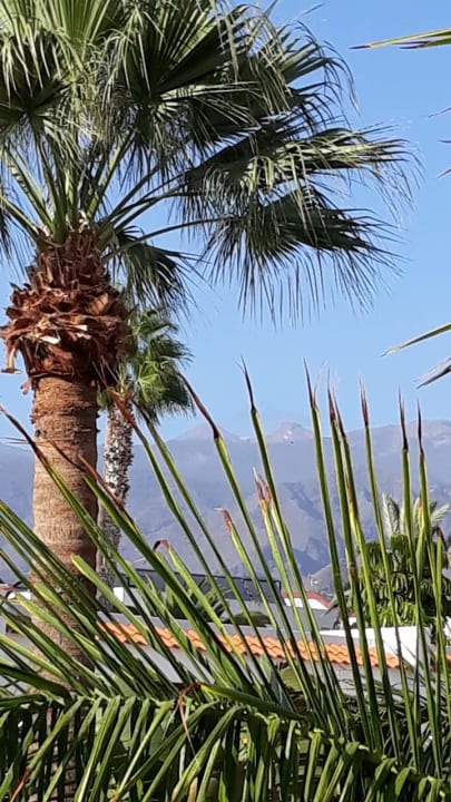 Ausblick allsun Hotel Los Hibiscos