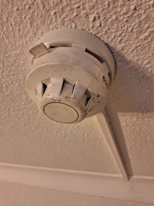 Zimmer Leonardo Hotel Düsseldorf Airport - Ratingen