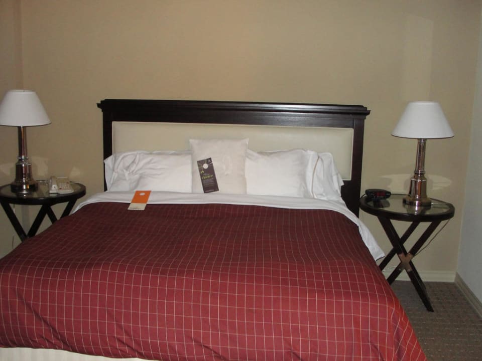 Bett Hotel Sheraton Suites Plantation