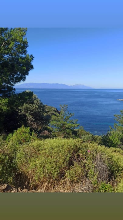 Ausblick Paloma Pasha