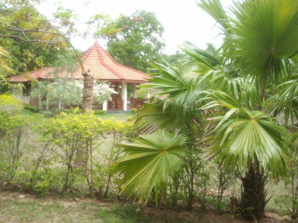 Blick auf den Meditations-/Yogapavillion Ayurveda Paradise Maho
