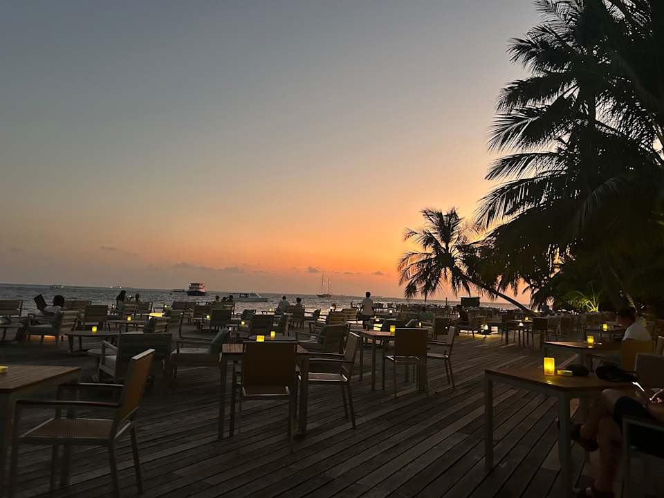 Gastro Vilamendhoo Island Resort & Spa