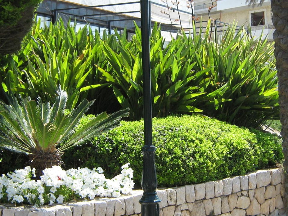 Grüne Oase vor dem Hotel Hotel Serrano Palace