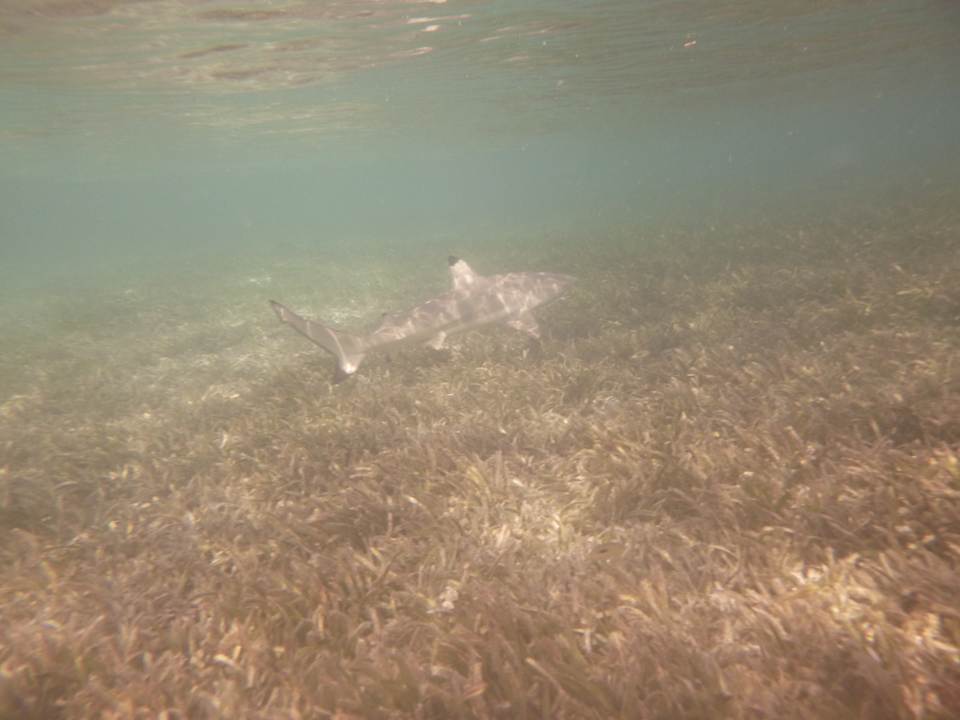 Sonstiges Adaaran Select Hudhuran Fushi - Premium All Inclusive