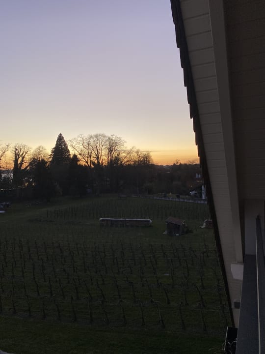 Ausblick Hotel Traube am See