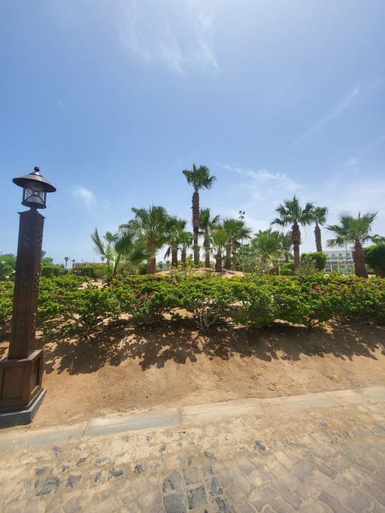 Gartenanlage Steigenberger ALDAU Beach Hotel