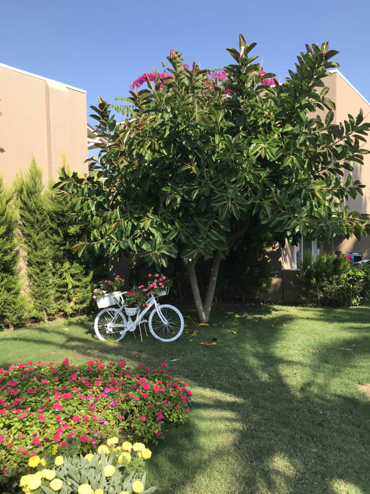 Gartenanlage Pirate's Beach Club