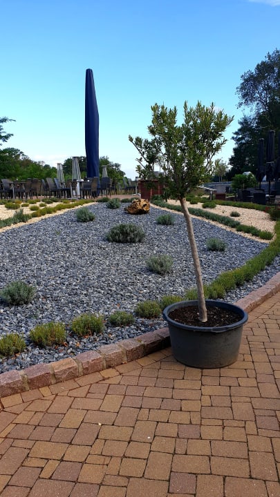 Gartenanlage Hotel Acamed Resort