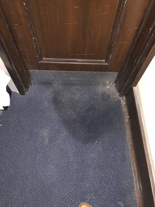 Zimmer Treehouse Hotel London