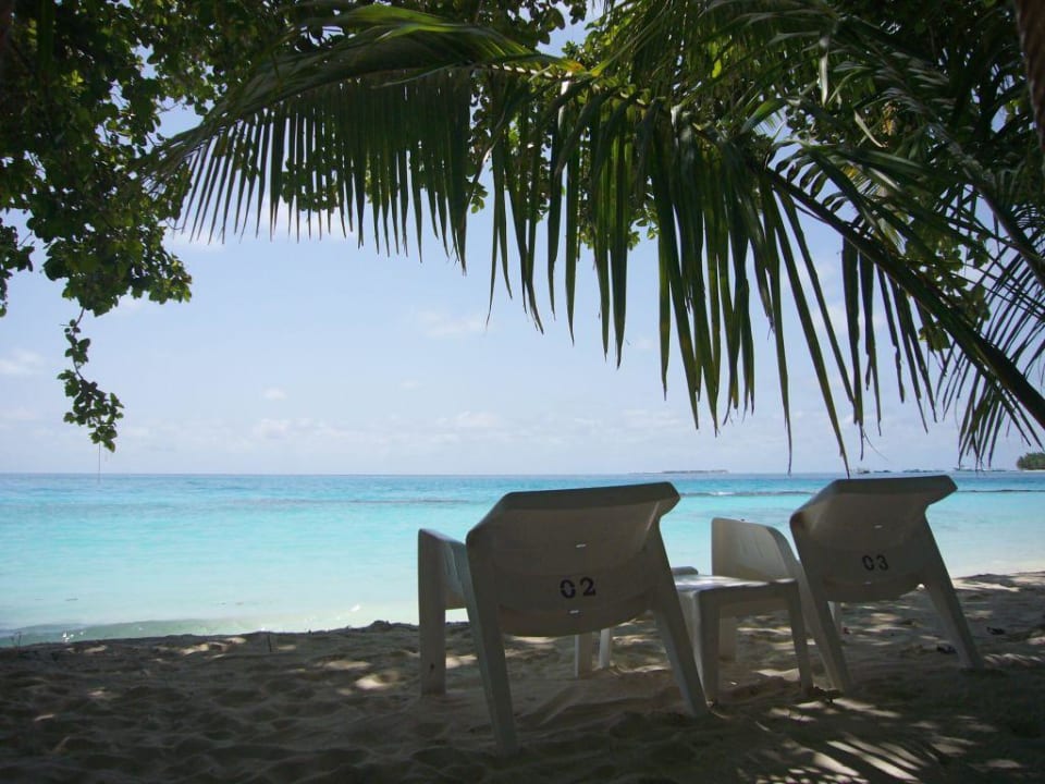 Strandsessel Kuramathi Maldives