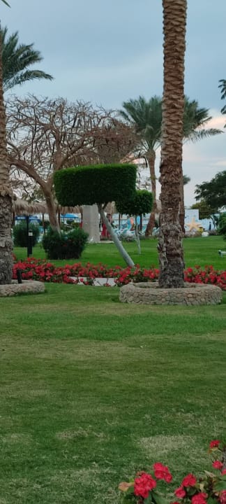 Gartenanlage Hurghada Long Beach Resort