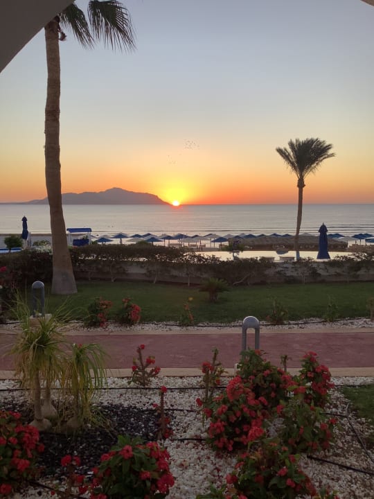 Strand Pickalbatros Palace Resort