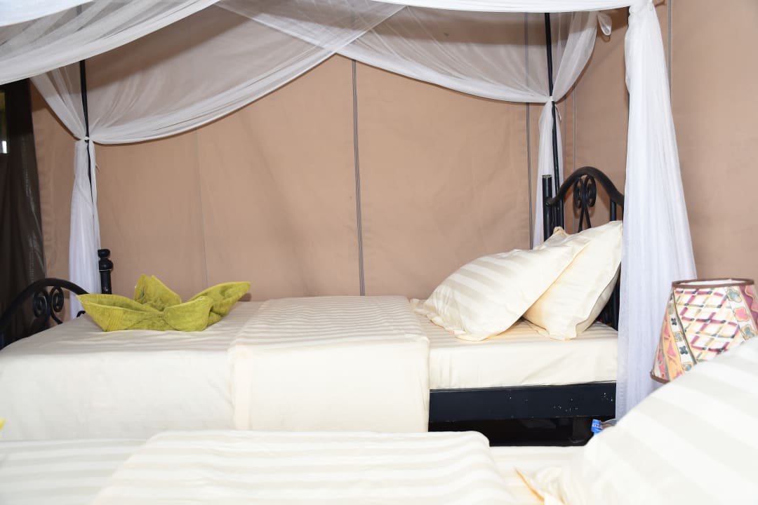 Zimmer Serengeti Wildebeest Camp