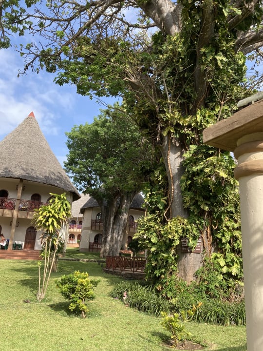 Gartenanlage Neptune Paradise Beach Resort & Spa