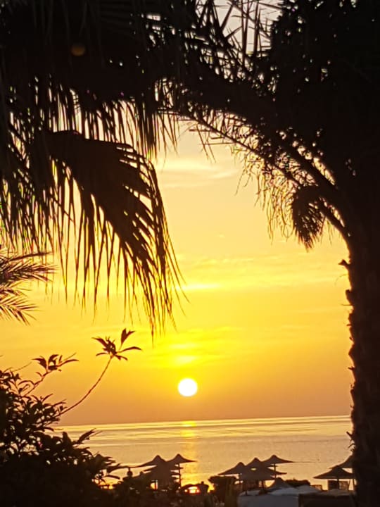 Ausblick Shams Alam Beach Resort