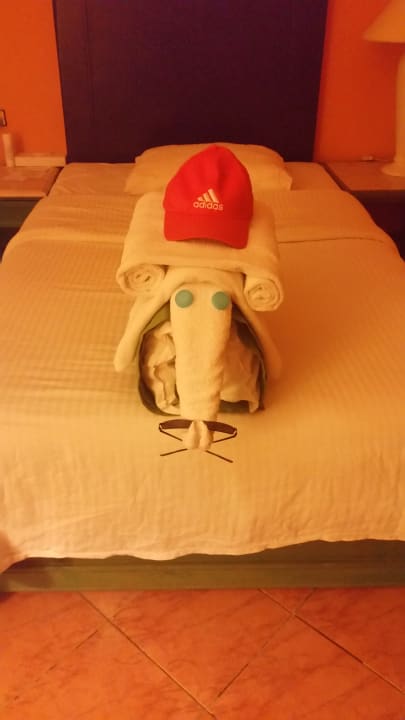 Zimmer Arabia Azur Resort