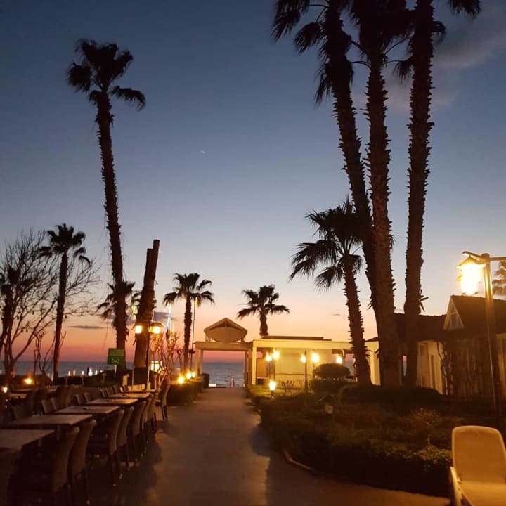 Gastro Side Star Beach