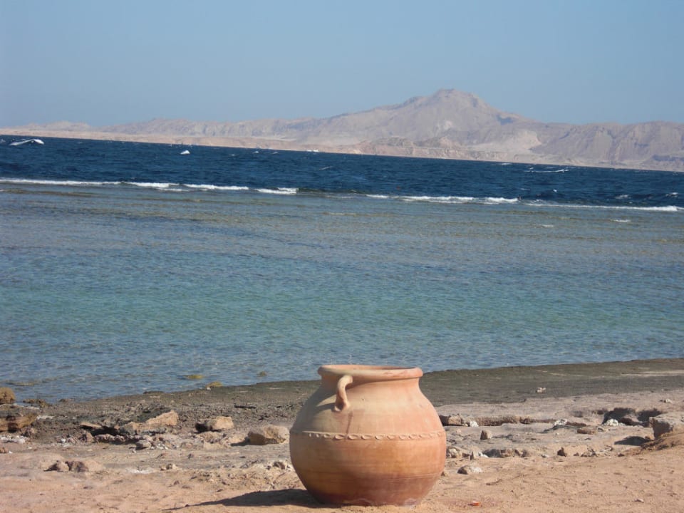 Blick von den Strandliegen Parrotel Beach Resort