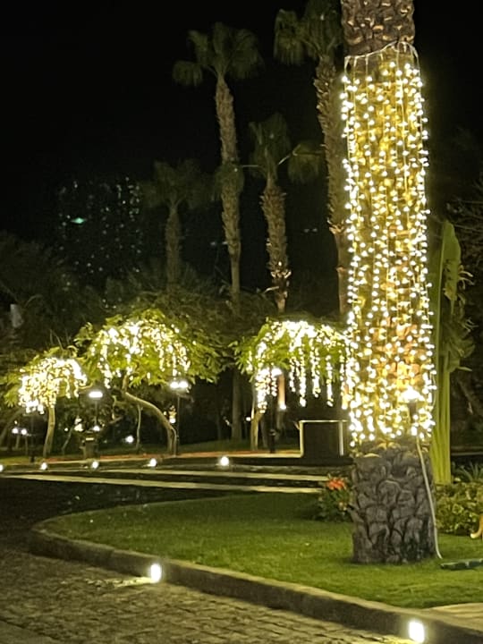 Gartenanlage Sharm Club Beach Resort