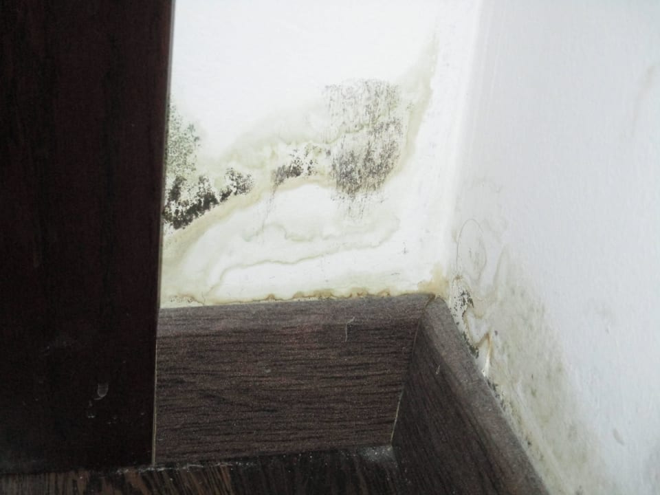 Gesundheitsschädigender Schimmel im Zimmer/Wand Hotel Imperial Vodice
