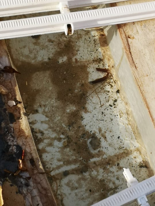 Pool Lella Meriam Hotel & Club