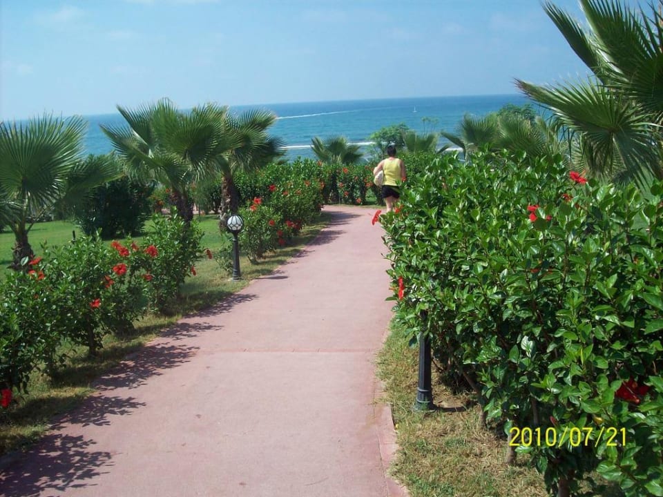 Weg Strandbar bis zum Strand Hotel Turan Prince