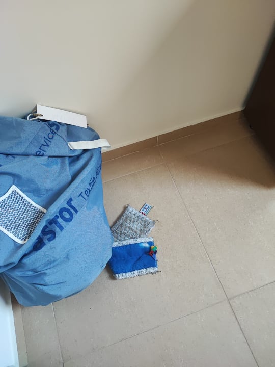 Sonstiges Cactus Royal