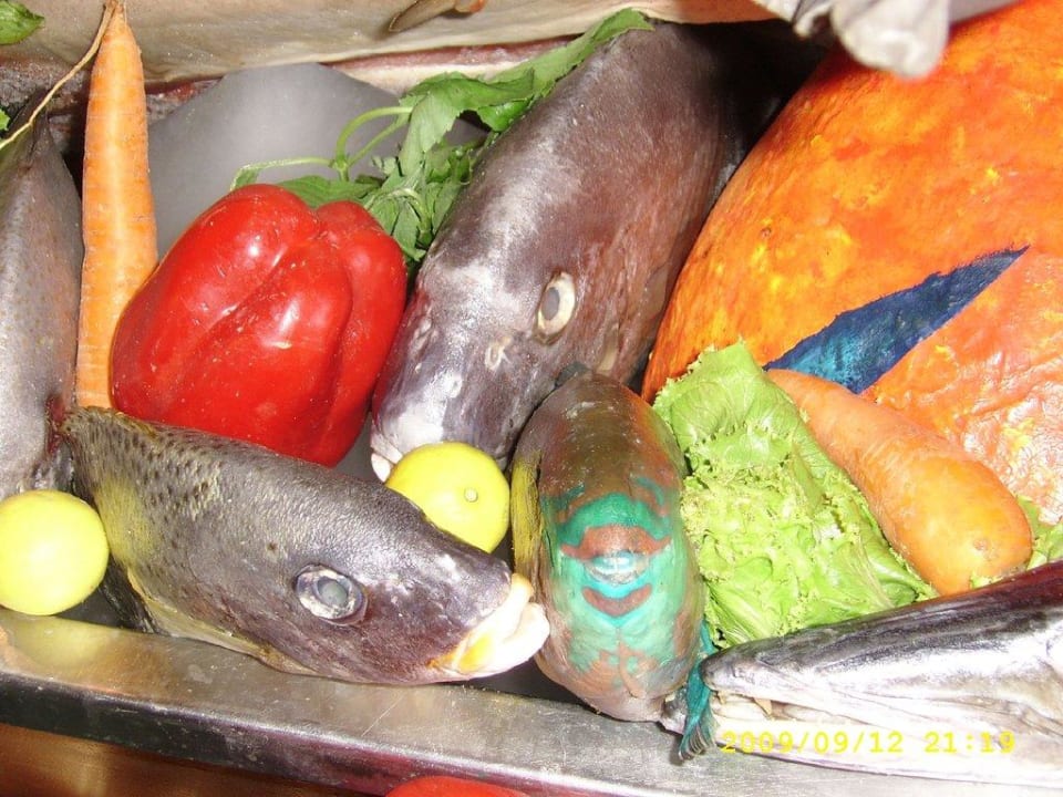 Dekoration Pickalbatros Alf Leila Wa Leila Resort - Neverland Hurghada