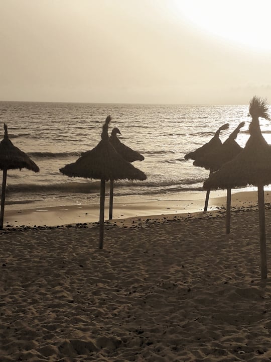 Strand MLL Palma Bay Club Resort