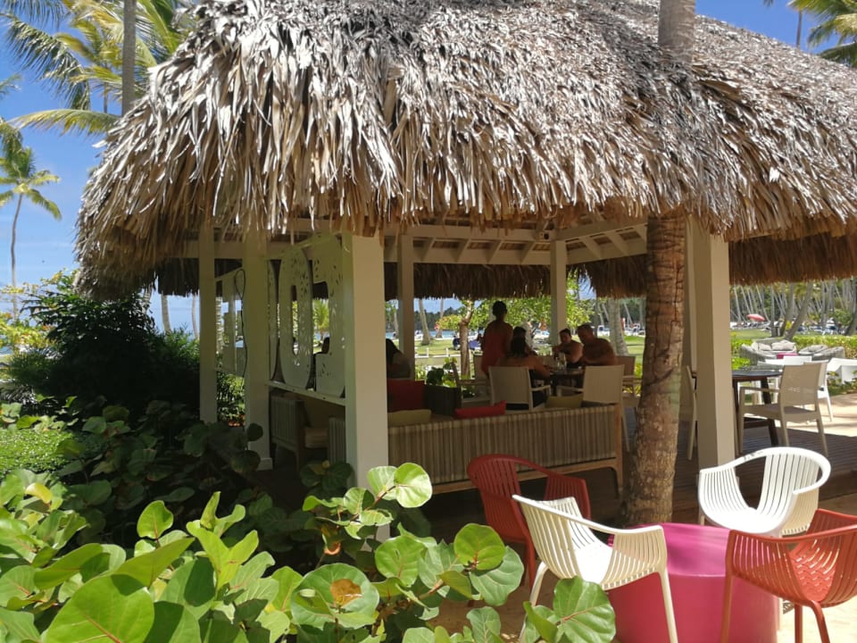 Gastro Wyndham Alltra Samana