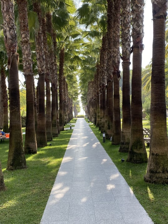 Gartenanlage Hotel Miramare Beach