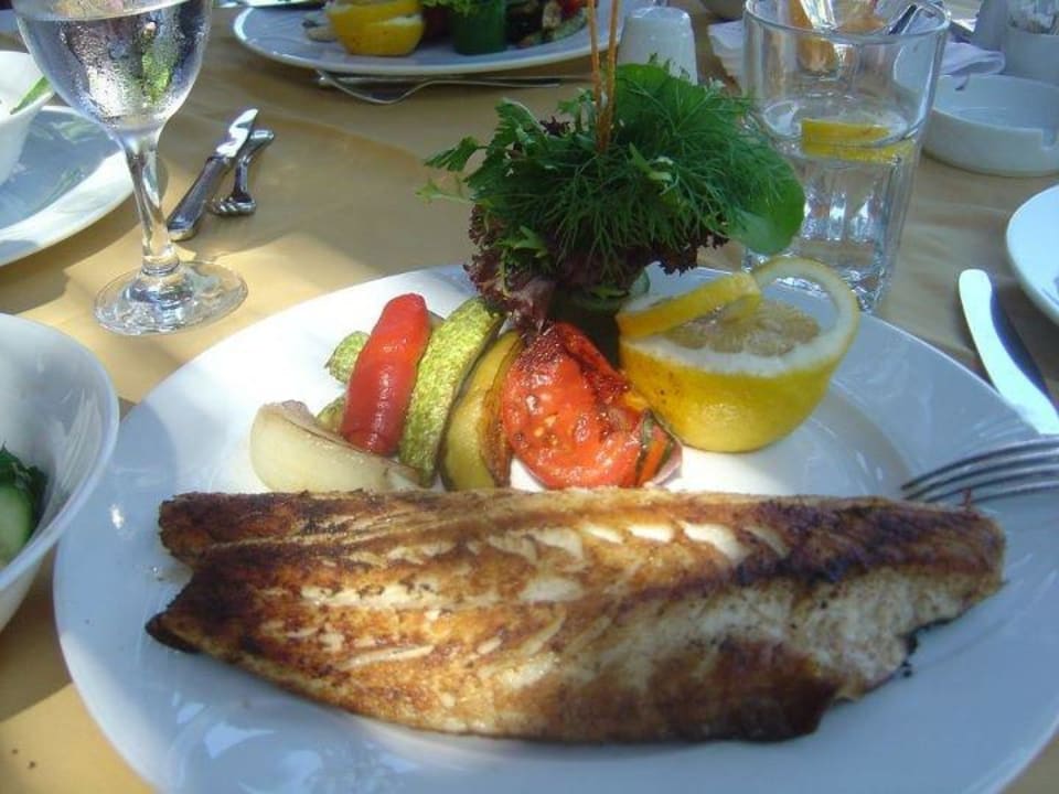 Mittagessen Snack-Bar Papillon Ayscha