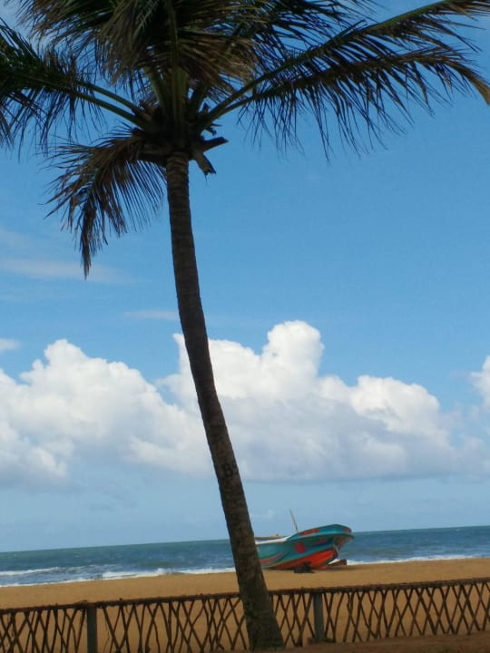 Blick zum Meer Mermaid Hotel & Club