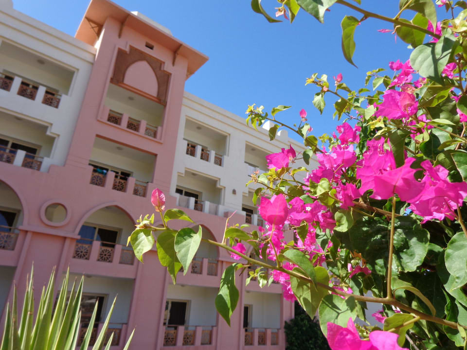 Отель Serenity Alpha Beach