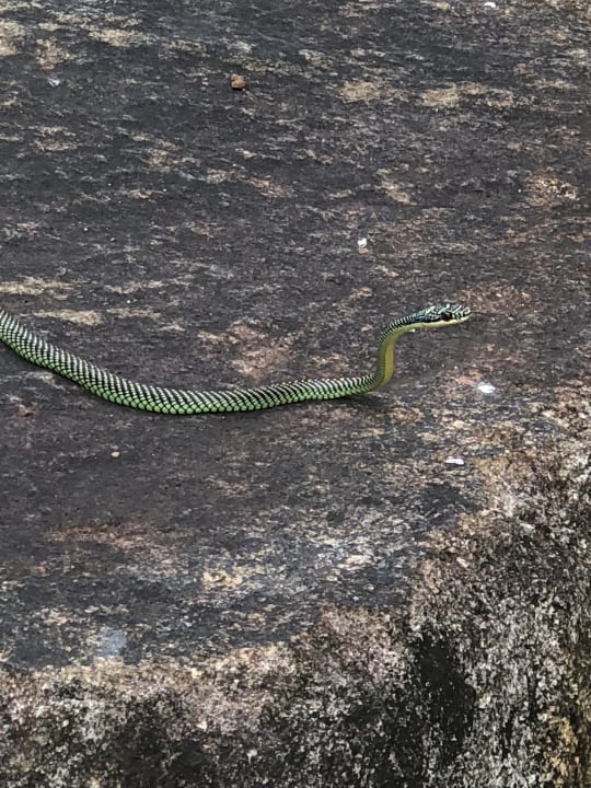 Sonstiges Moracea by Khao Lak Resort