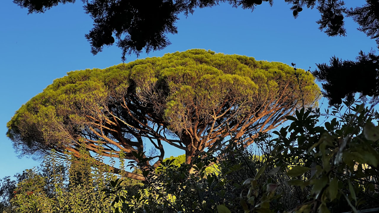 Ausblick Hotel La Ferme D'Augustin
