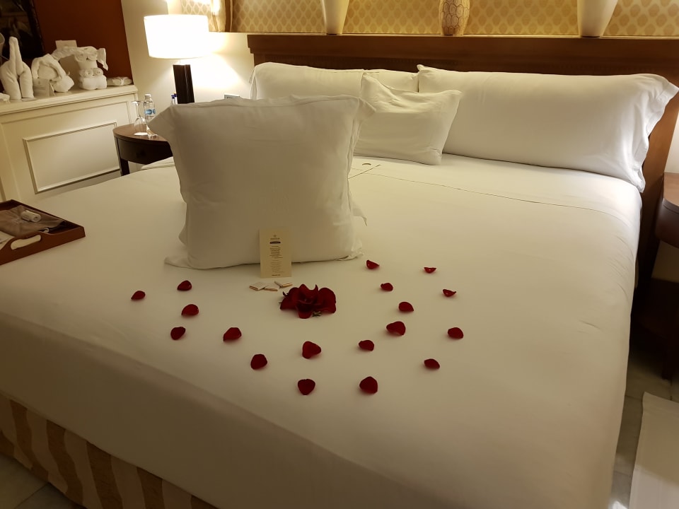 Zimmer JOIA Paraiso by Iberostar