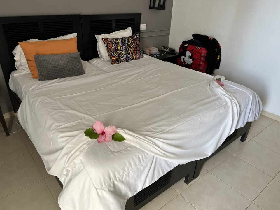 Zimmer Hotel Club Tropicana & Spa