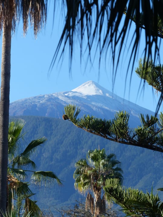 Ausblick Apartments Ambassador