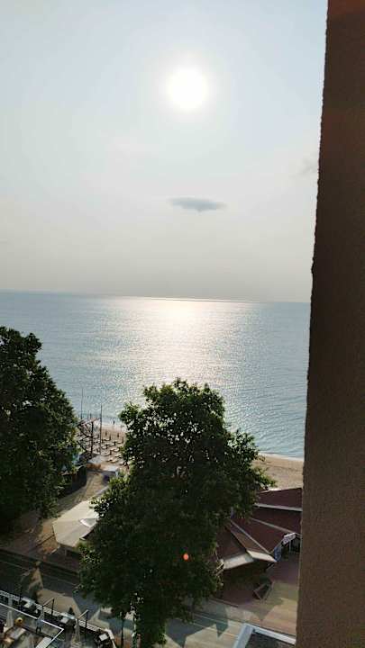 Ausblick GRIFID Vistamar