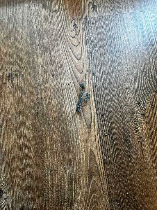 Zimmer Center Parcs Park Allgäu