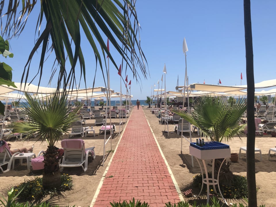 Strand Hotel Delphin Diva