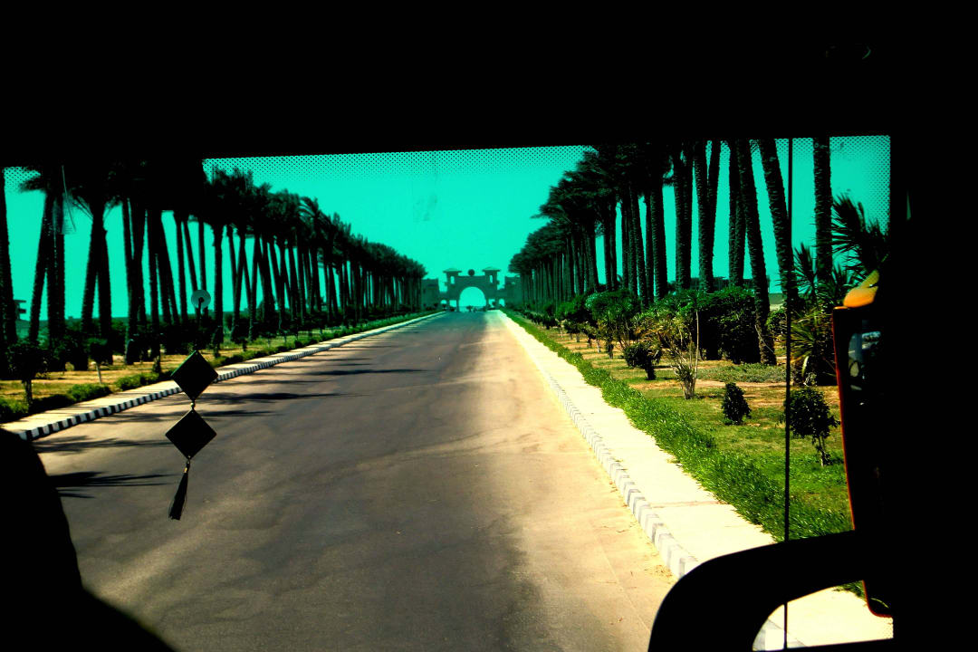 Palmenallee zum Kontrollpunkt an d. Resorteinfahrt Cleopatra Luxury Resort Makadi Bay